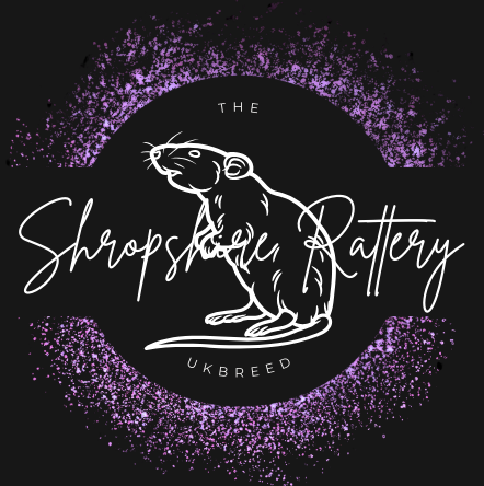 The Shropshire Rattery 